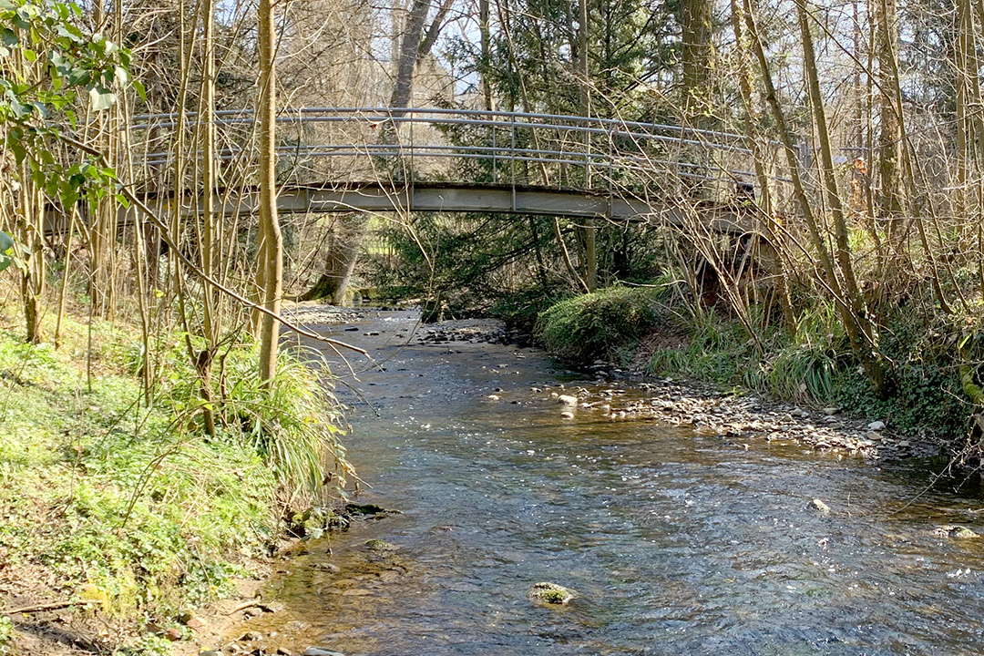 Renaturation de la Drize